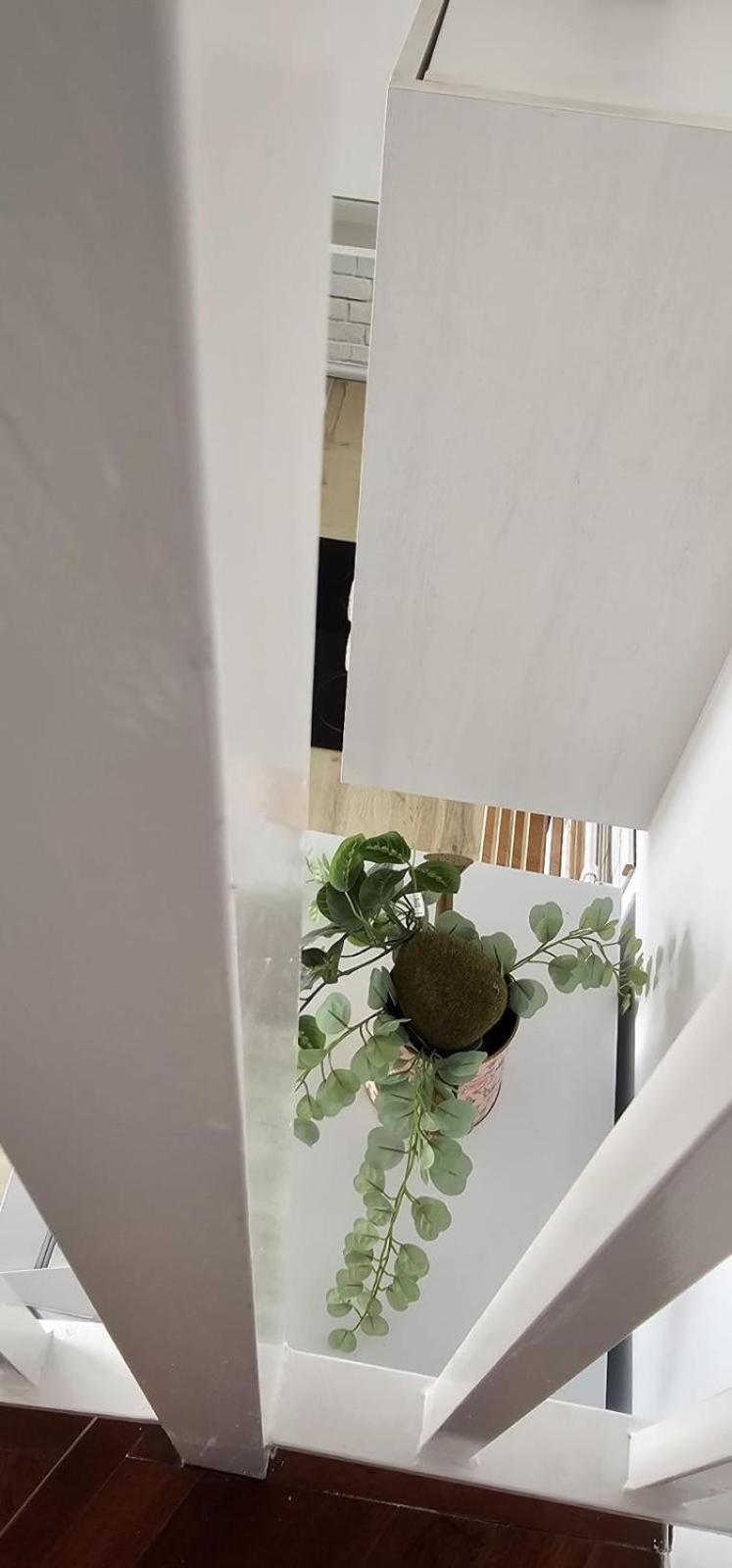 Apartamentos Tocororo Cotillo Dış mekan fotoğraf